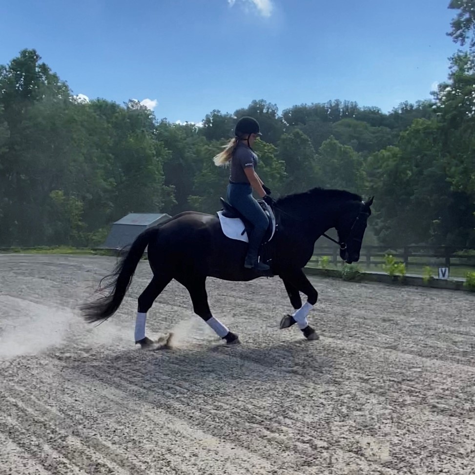 Ashley and Oenomaus at Meadowood Dressage